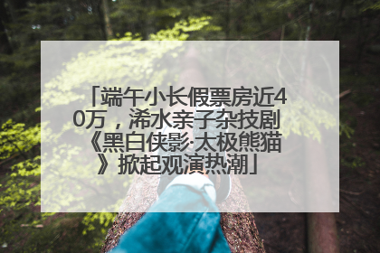 端午小长假票房近40万，浠水亲子杂技剧《黑白侠影·太极熊猫》掀起观演热潮