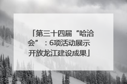 第三十四届“哈洽会”：6项活动展示开放龙江建设成果