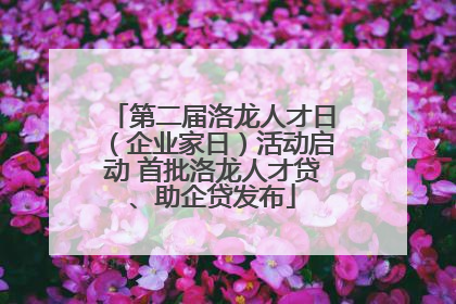 第二届洛龙人才日（企业家日）活动启动 首批洛龙人才贷、助企贷发布