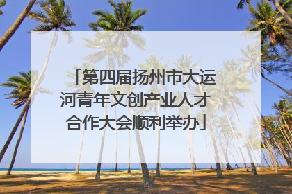 第四届扬州市大运河青年文创产业人才合作大会顺利举办
