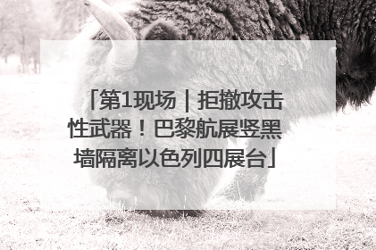 第1现场｜拒撤攻击性武器！巴黎航展竖黑墙隔离以色列四展台