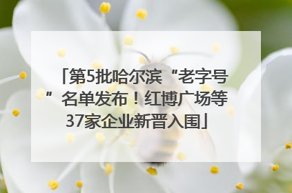 第5批哈尔滨“老字号”名单发布！红博广场等37家企业新晋入围