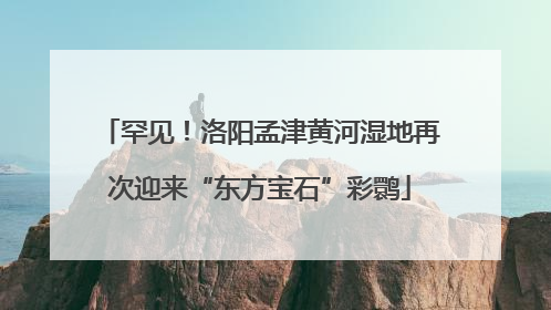 罕见！洛阳孟津黄河湿地再次迎来“东方宝石”彩鹮