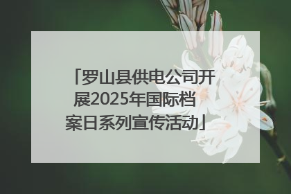 罗山县供电公司开展2025年国际档案日系列宣传活动