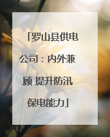 罗山县供电公司：内外兼顾 提升防汛保电能力