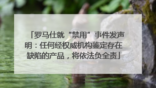 罗马仕就“禁用”事件发声明：任何经权威机构鉴定存在缺陷的产品，将依法负全责