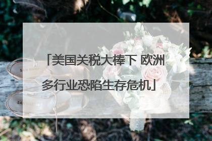 美国关税大棒下 欧洲多行业恐陷生存危机