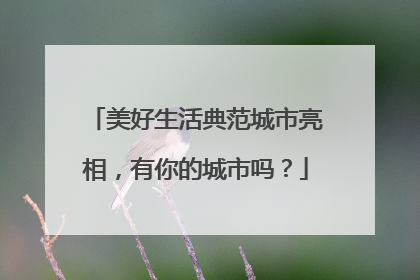 美好生活典范城市亮相，有你的城市吗？