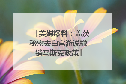 美媒爆料：盖茨秘密去白宫游说撤销马斯克政策