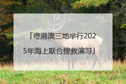 粤港澳三地举行2025年海上联合搜救演习