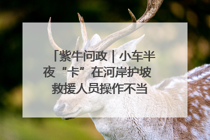 紫牛问政｜小车半夜“卡”在河岸护坡 救援人员操作不当致小车翻下河，然后直接走人了