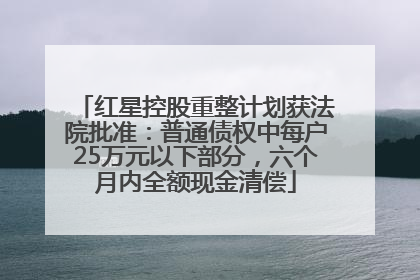 红星控股重整计划获法院批准：普通债权中每户25万元以下部分，六个月内全额现金清偿