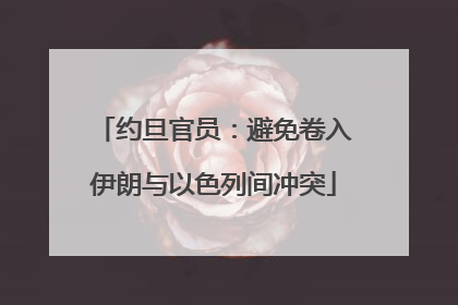 约旦官员：避免卷入伊朗与以色列间冲突