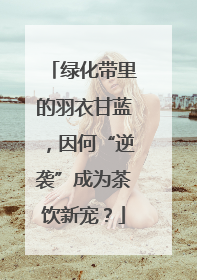 绿化带里的羽衣甘蓝，因何“逆袭”成为茶饮新宠？
