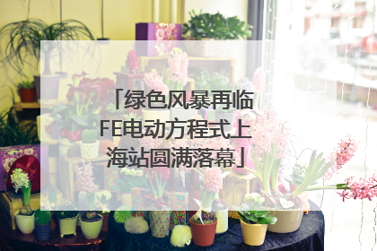 绿色风暴再临 FE电动方程式上海站圆满落幕