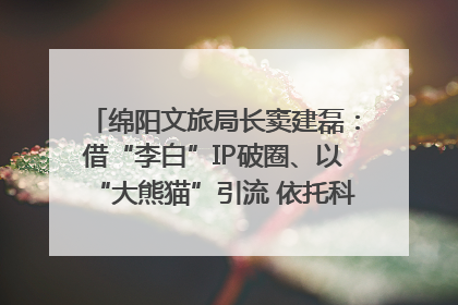 绵阳文旅局长窦建磊：借“李白”IP破圈、以“大熊猫”引流 依托科技优势绽放城市文旅魅力｜文旅局长说