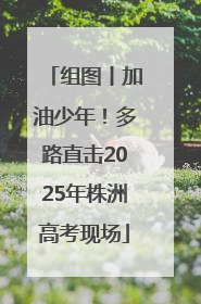 组图丨加油少年！多路直击2025年株洲高考现场