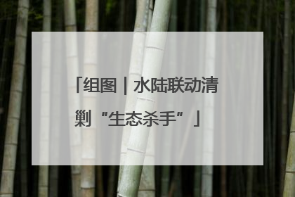 组图｜水陆联动清剿“生态杀手”