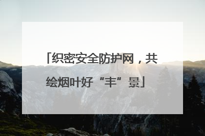 织密安全防护网，共绘烟叶好“丰”景