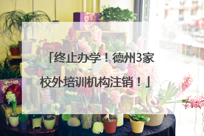 终止办学！德州3家校外培训机构注销！