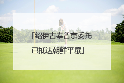绍伊古奉普京委托已抵达朝鲜平壤