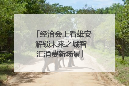经洽会上看雄安 解锁未来之城智汇消费新场景