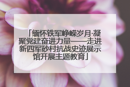 缅怀铁军峥嵘岁月·凝聚党建奋进力量——走进新四军砂村抗战史迹展示馆开展主题教育