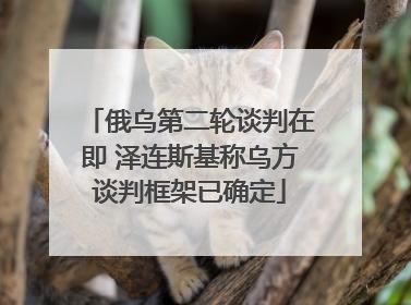 俄乌第二轮谈判在即 泽连斯基称乌方谈判框架已确定