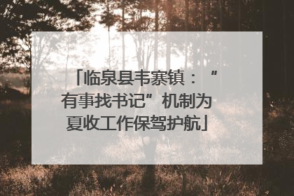 临泉县韦寨镇：“有事找书记”机制为夏收工作保驾护航