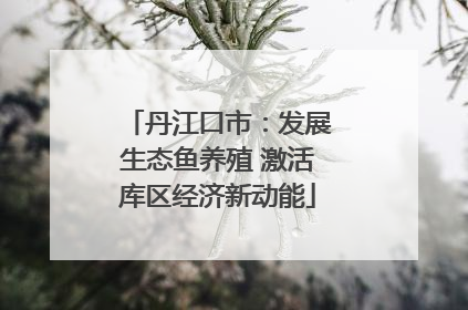 丹江口市：发展生态鱼养殖 激活库区经济新动能