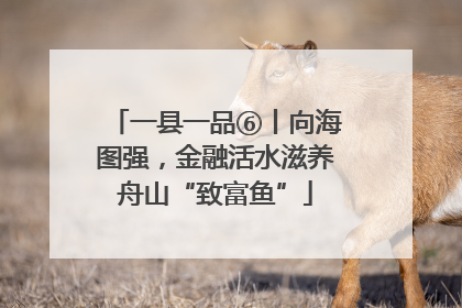 一县一品⑥丨向海图强，金融活水滋养舟山“致富鱼”