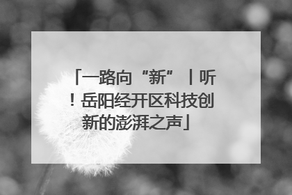 一路向“新”丨听！岳阳经开区科技创新的澎湃之声