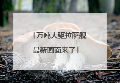 万吨大驱拉萨舰最新画面来了