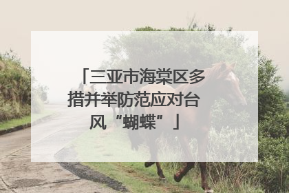 三亚市海棠区多措并举防范应对台风“蝴蝶”