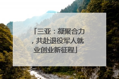 三亚：凝聚合力，共赴退役军人就业创业新征程