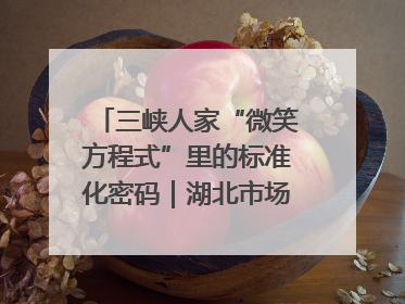 三峡人家“微笑方程式”里的标准化密码｜湖北市场监管所的故事