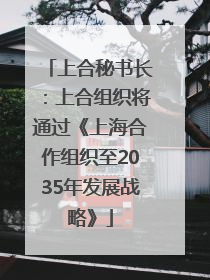 上合秘书长：上合组织将通过《上海合作组织至2035年发展战略》