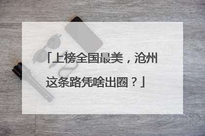 上榜全国最美，沧州这条路凭啥出圈？