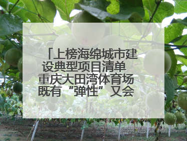 上榜海绵城市建设典型项目清单 重庆大田湾体育场既有“弹性”又会“呼吸”