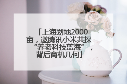 上海划地2000亩，邀腾讯小米共探“养老科技蓝海”，背后商机几何