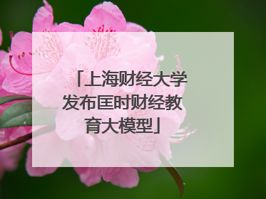 上海财经大学发布匡时财经教育大模型