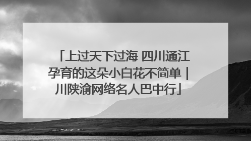 上过天下过海 四川通江孕育的这朵小白花不简单｜川陕渝网络名人巴中行