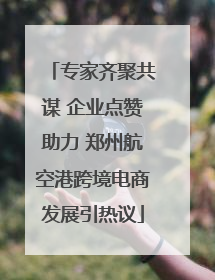 专家齐聚共谋 企业点赞助力 郑州航空港跨境电商发展引热议