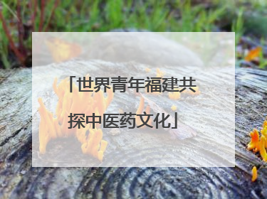 世界青年福建共探中医药文化