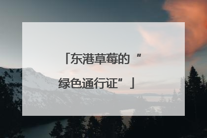 东港草莓的“绿色通行证”