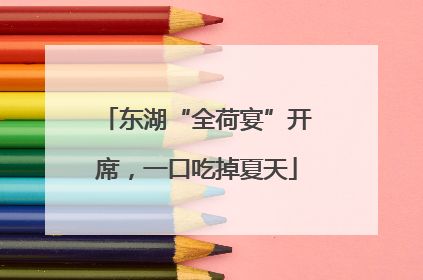 东湖“全荷宴”开席，一口吃掉夏天