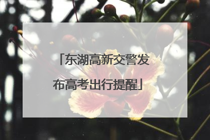 东湖高新交警发布高考出行提醒