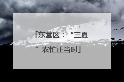 东营区：“三夏”农忙正当时