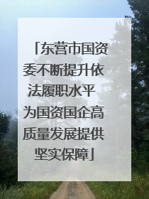 东营市国资委不断提升依法履职水平 为国资国企高质量发展提供坚实保障