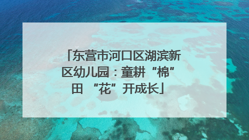 东营市河口区湖滨新区幼儿园：童耕“棉”田 “花”开成长